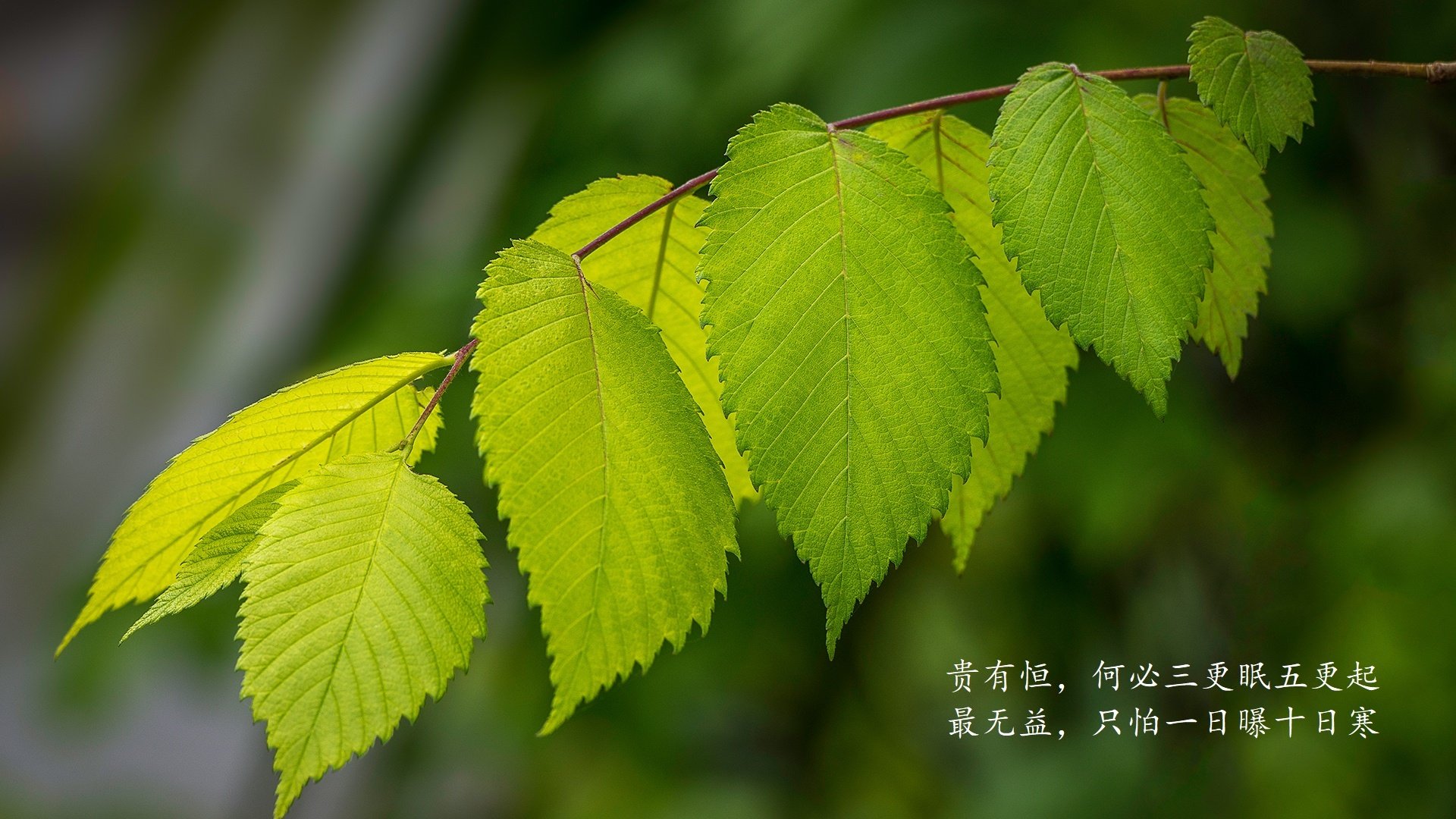 _未来竞速场馆：科技打造的体感盛宴_，未来竞技场工资