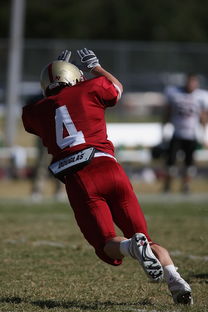 kaiyun中国官方网站-全国青少年跳水锦标赛在深圳火热进行，全国青少年跳水比赛