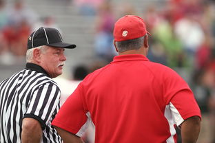 KAIYUNAPP-意甲裁判语义分析辅助判罚准确性的应用探讨，意甲 裁判