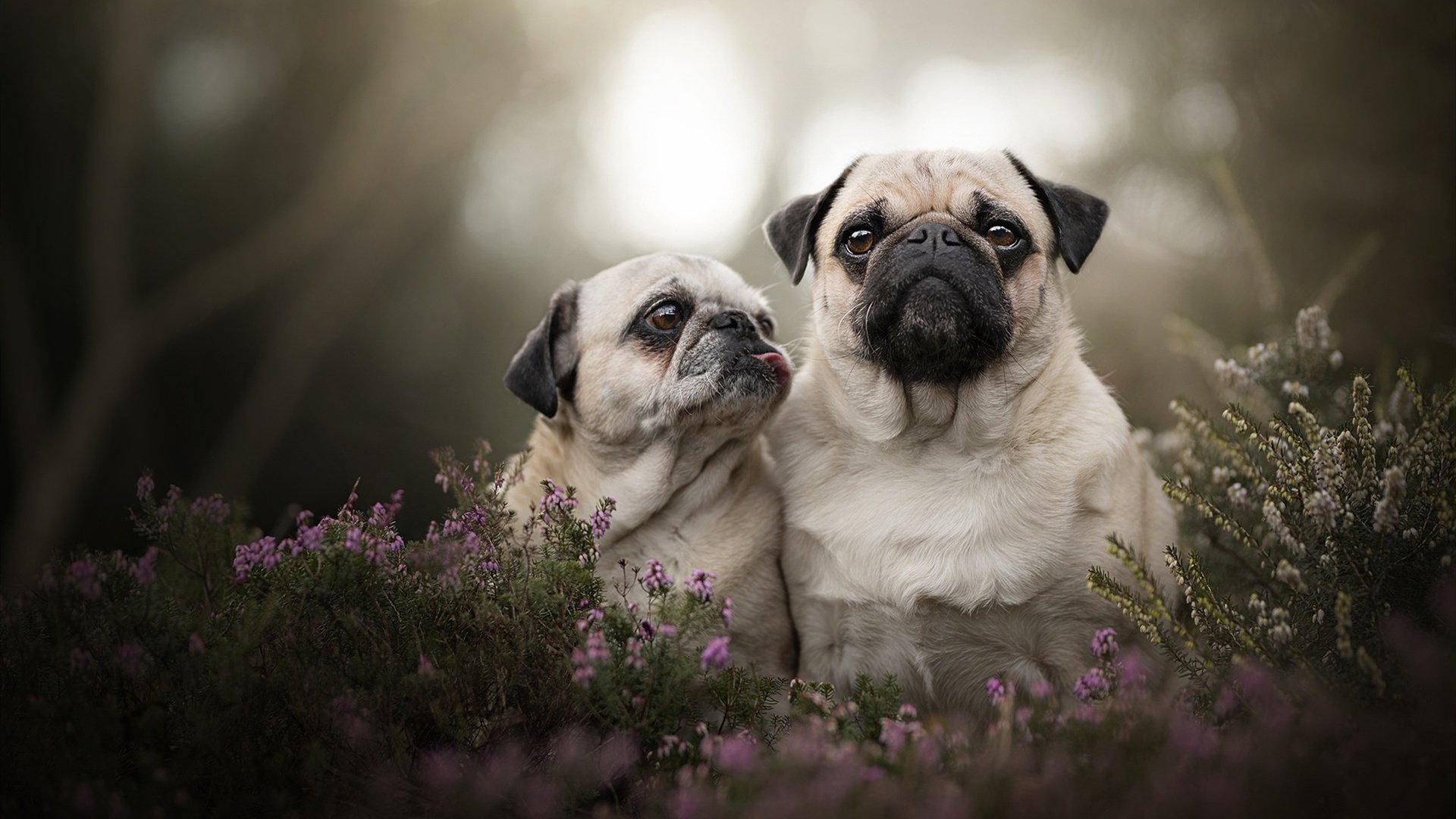 全国游泳冠军赛新星频出成绩突破预期，全国游泳冠军赛2021成绩