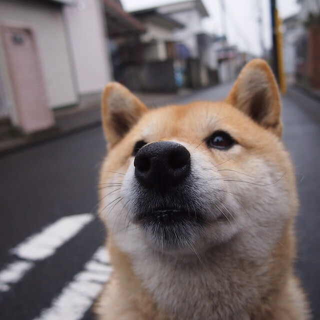 校园足球考核体系过于形式化，我国校园足球训练存在的问题