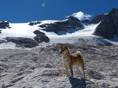 高节奏球队是否更易打出大比分领先,节奏大么