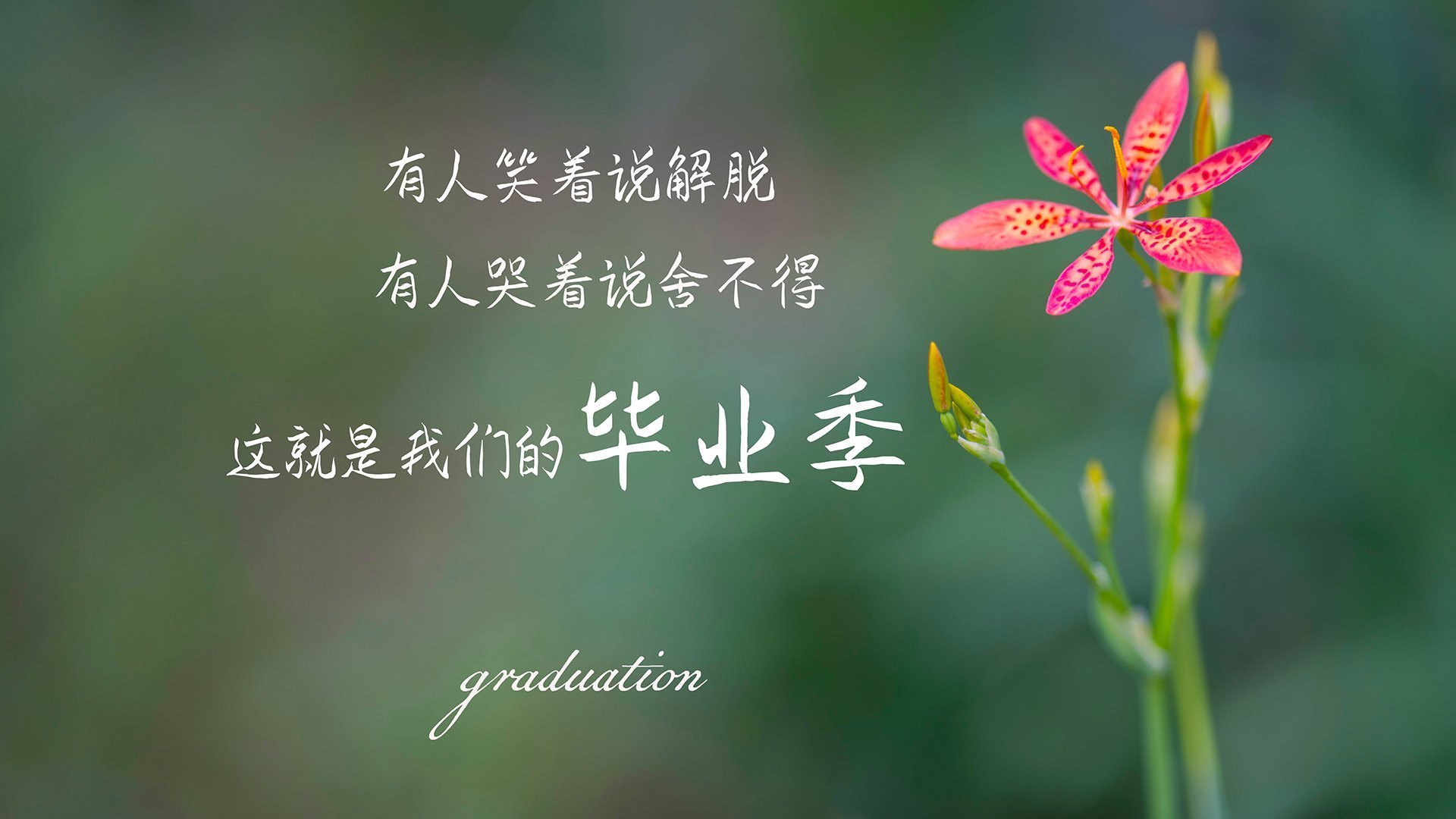 开云网页版-马竞全队逼抢压制对手传控体系，马竞全攻全守