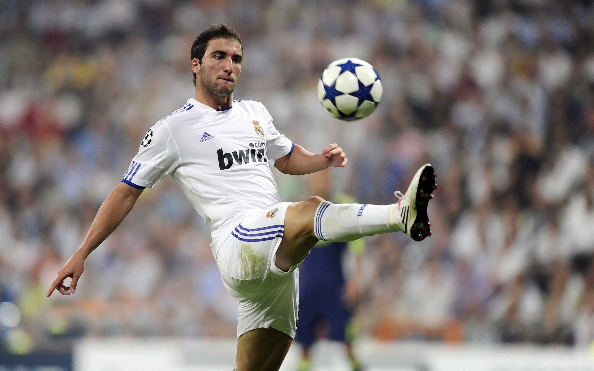 明日方舟“未来猎人”线上淘汰赛火焰升腾，猎狼人红明日方舟